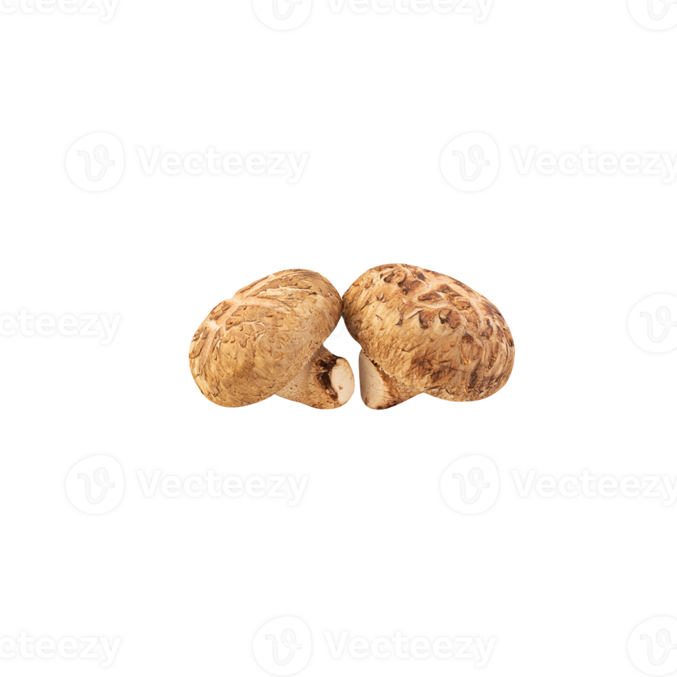 Shiitake mushroom cutout, Png file 24393319 PNG