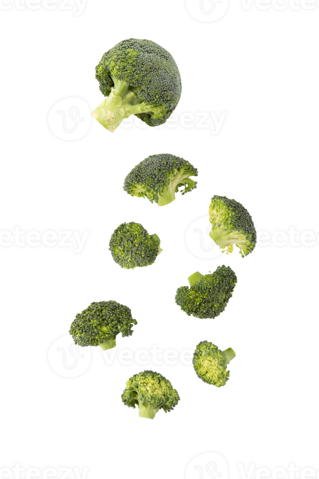 Falling Broccoli slice cutout, Png file