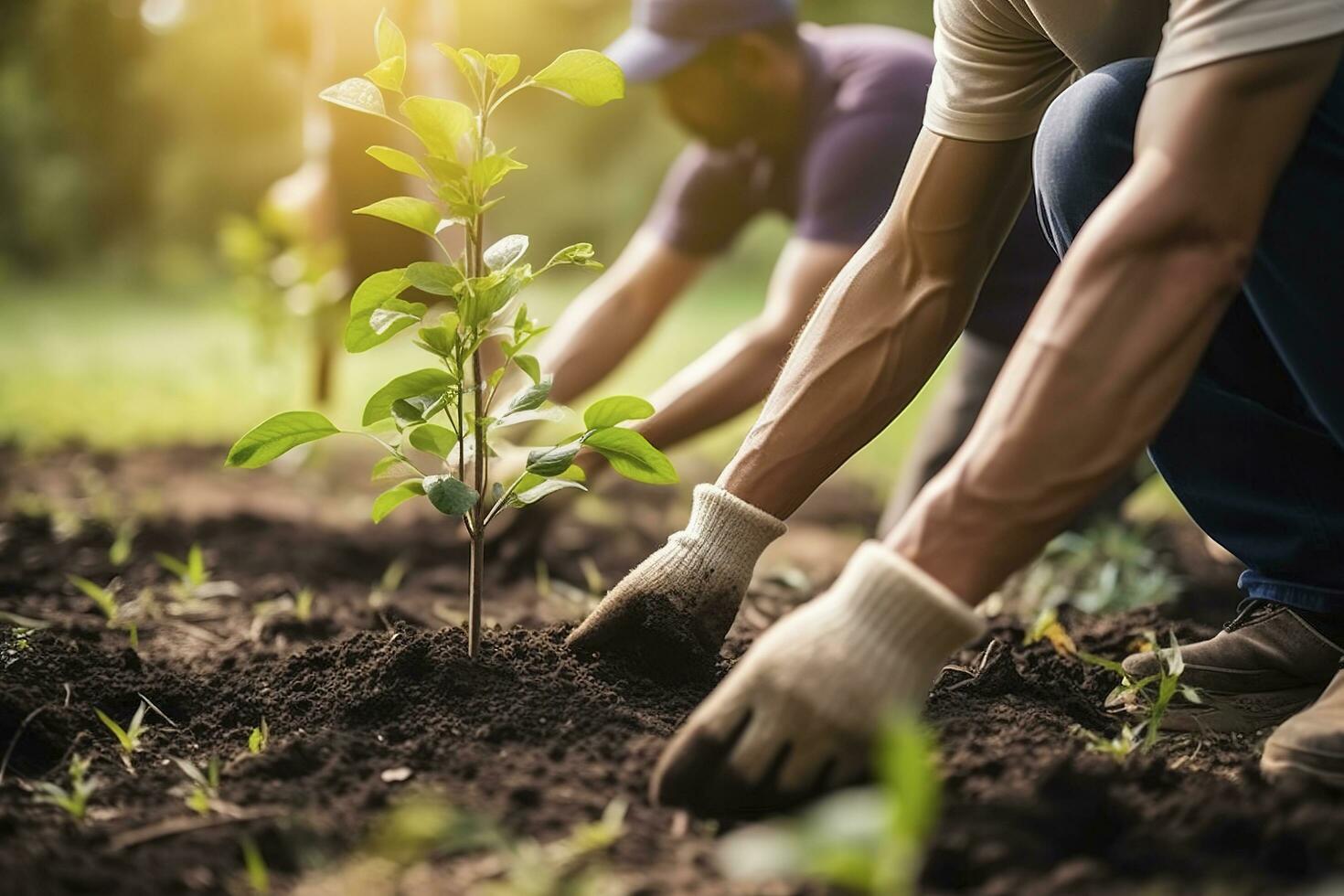 personas plantando arboles o trabajando en comunidad jardín promoviendo local comida producción y habitat restauracion, concepto de sustentabilidad y comunidad compromiso , generar ai foto