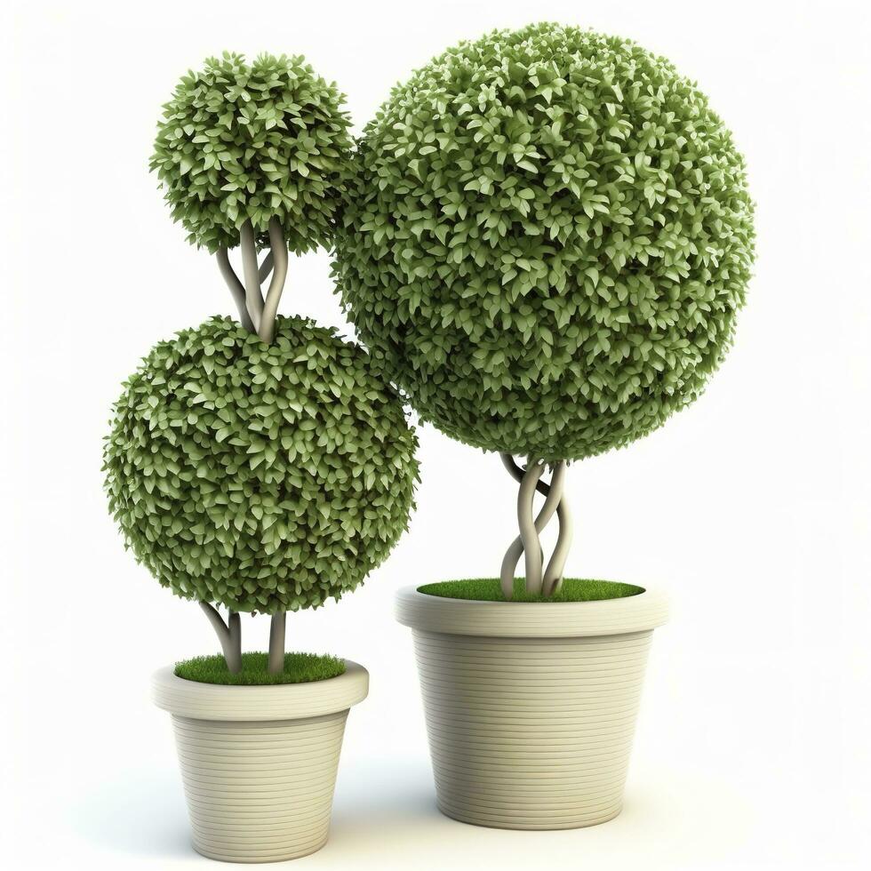 Topiary trees in the pot isolated on white background. 3D Rendering, 3D Illustration, generate ai photo