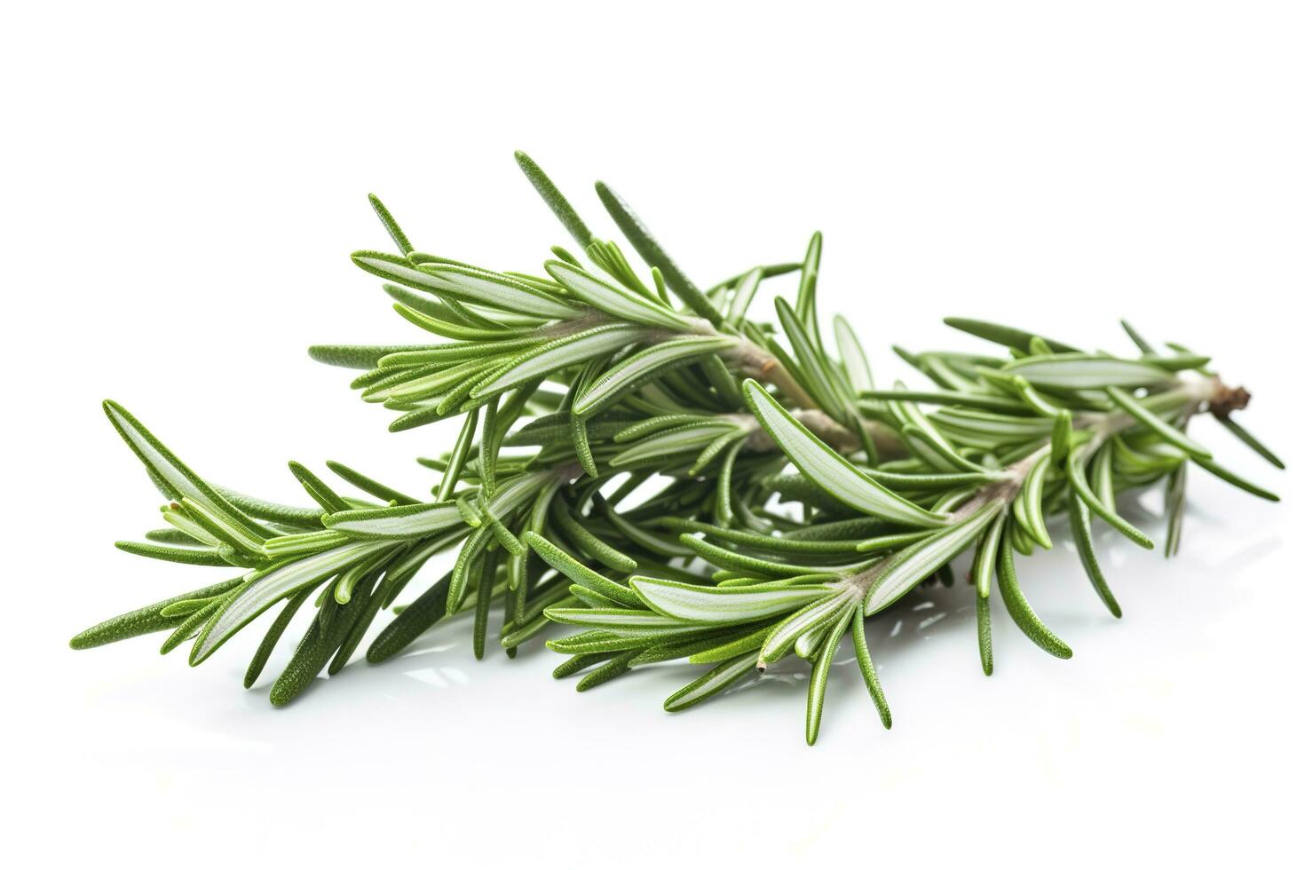 Fresh green organic rosemary leaves and peper isolated on white background, generate ai photo