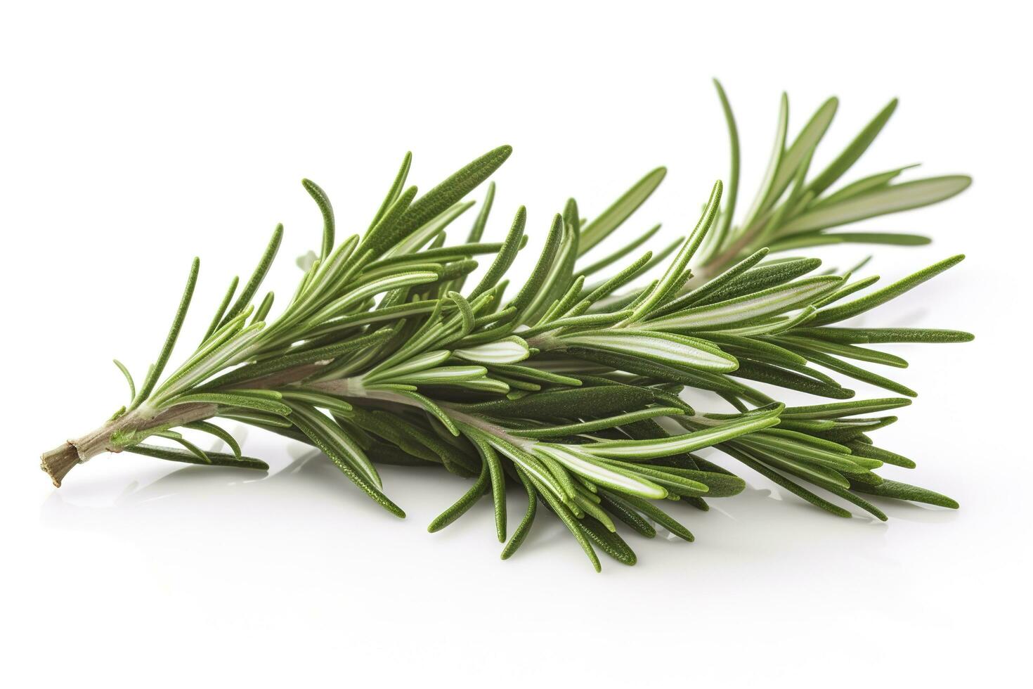 Fresh green organic rosemary leaves and peper isolated on white background, generate ai photo