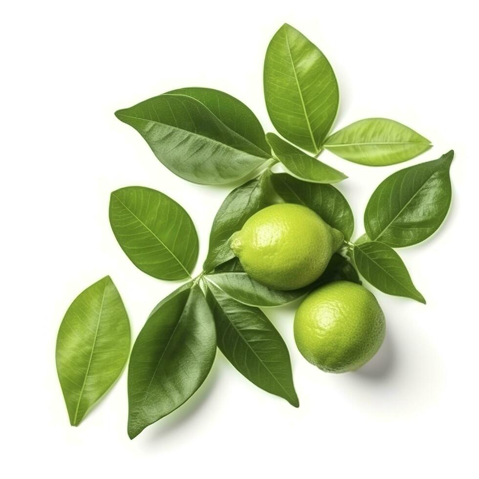 Fresh lemon with green leaves isolated on white background, generate ai photo