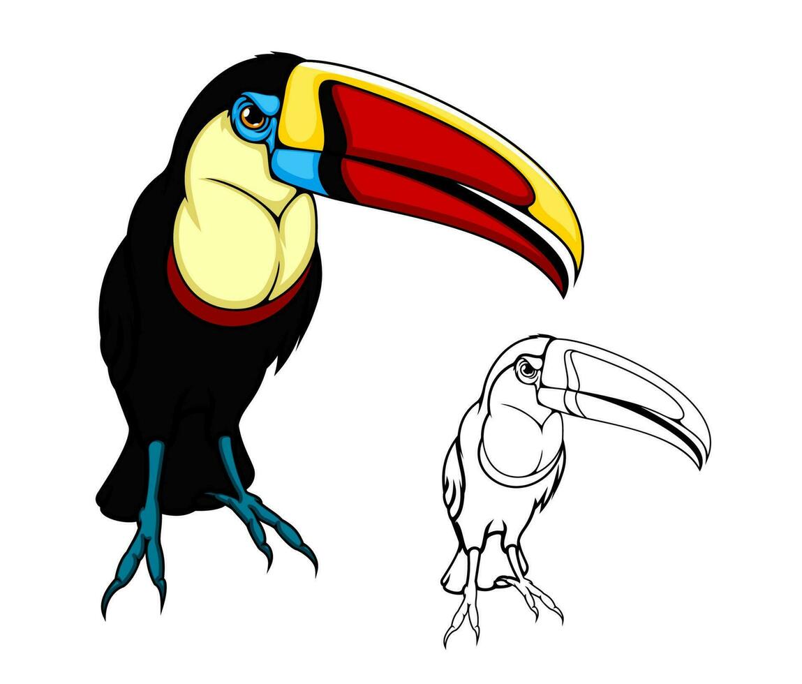 tucán pájaro, exótico tropical selva pájaro, dibujos animados vector