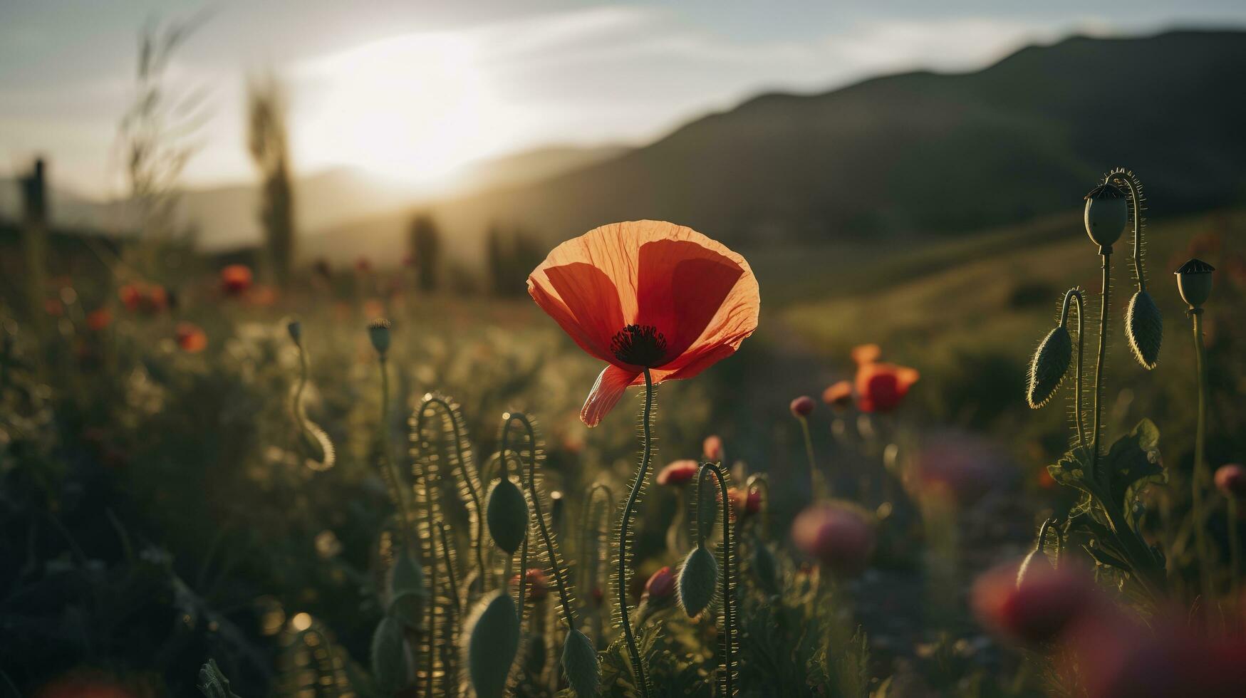 A stunning photo captures the golden hour in a field of radiant red poppies, symbolizing the beauty, resilience, and strength of nature, generate ai