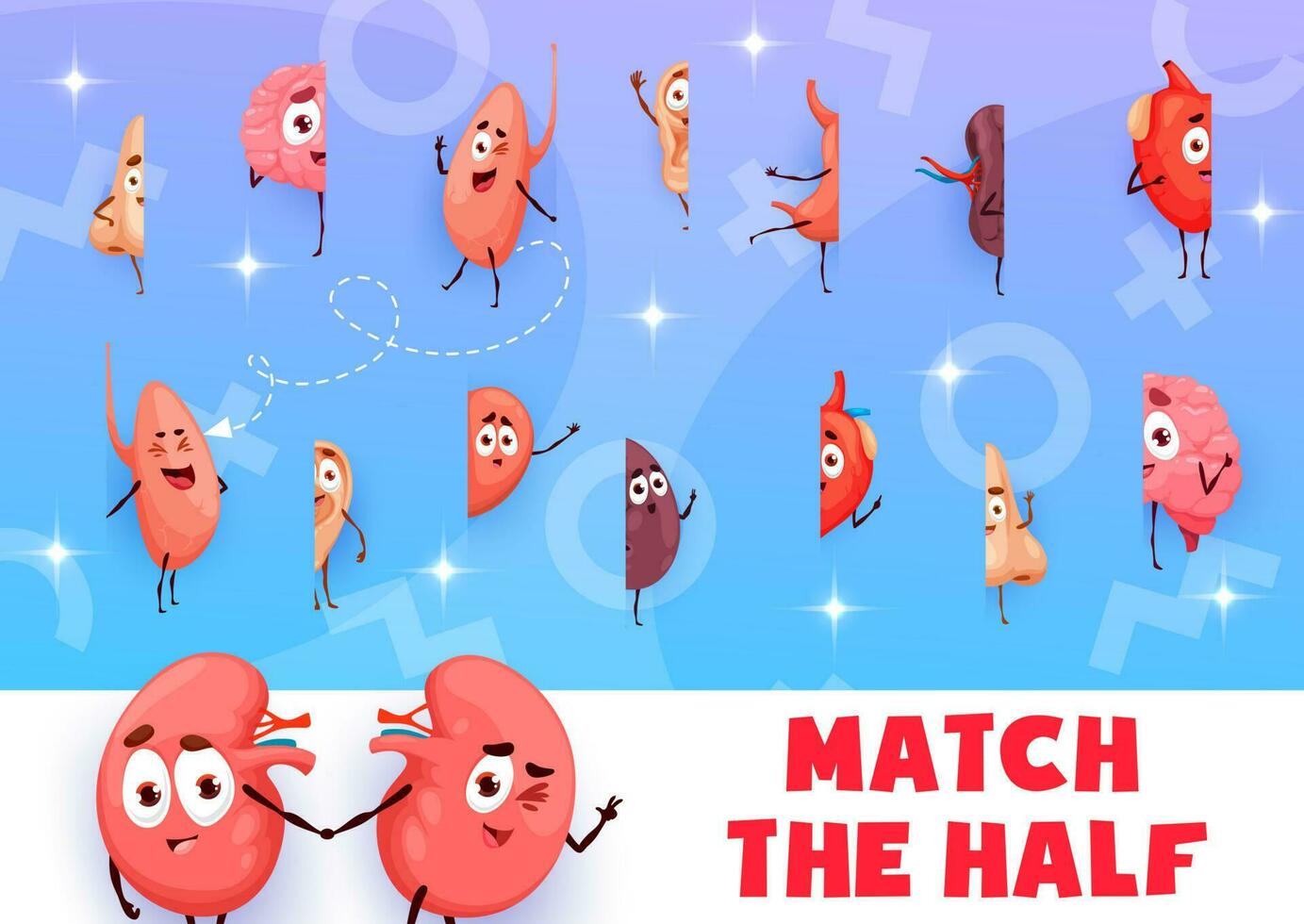 Match the half of cartoon human organ characters vector