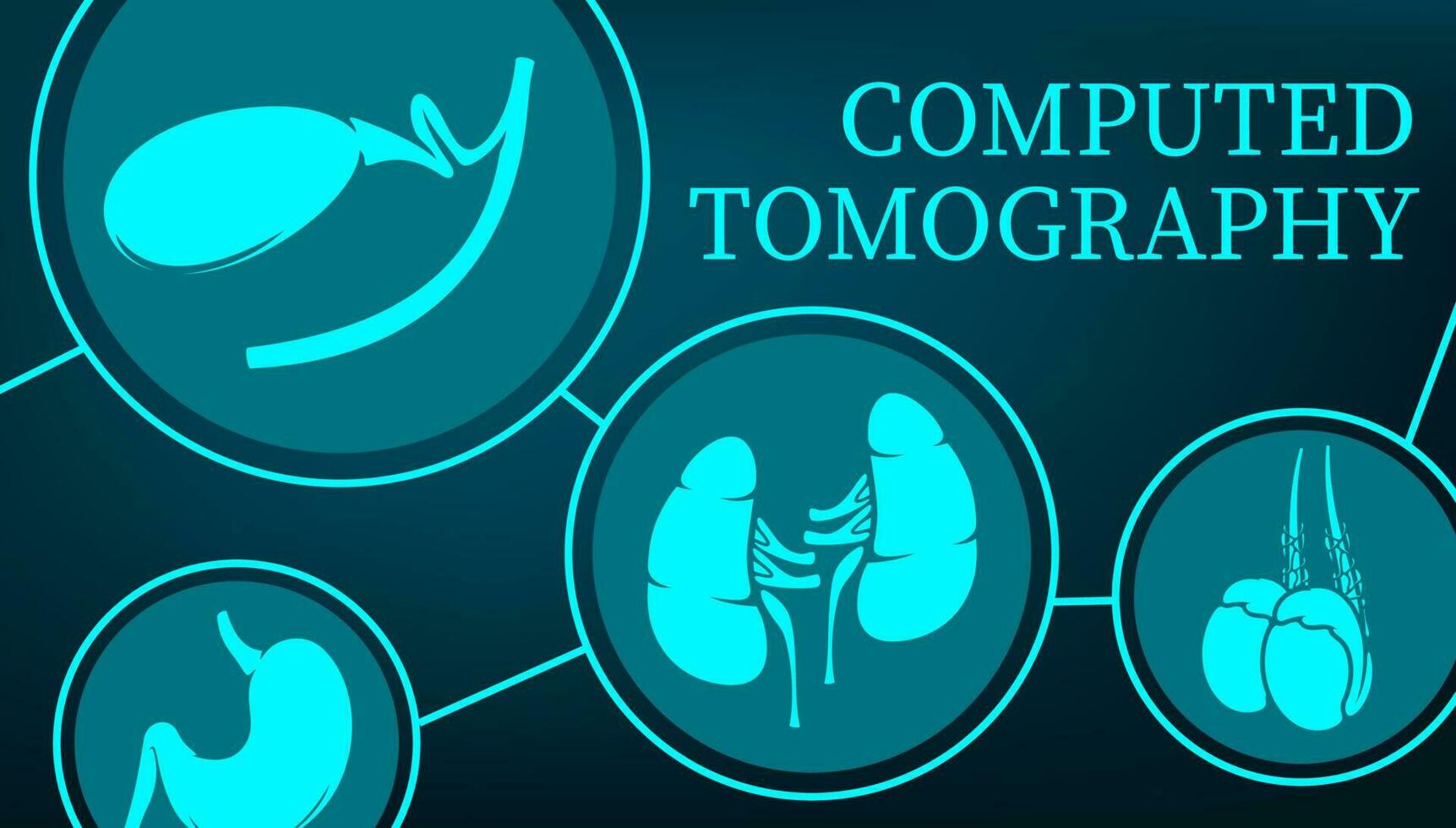 Computed tomography and MRI organs diagnostics vector
