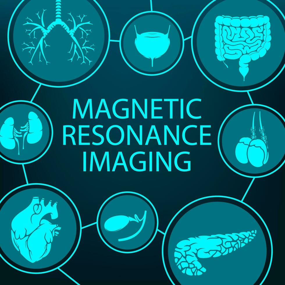 Magnetic resonance imaging, MRI medical diagnostic vector