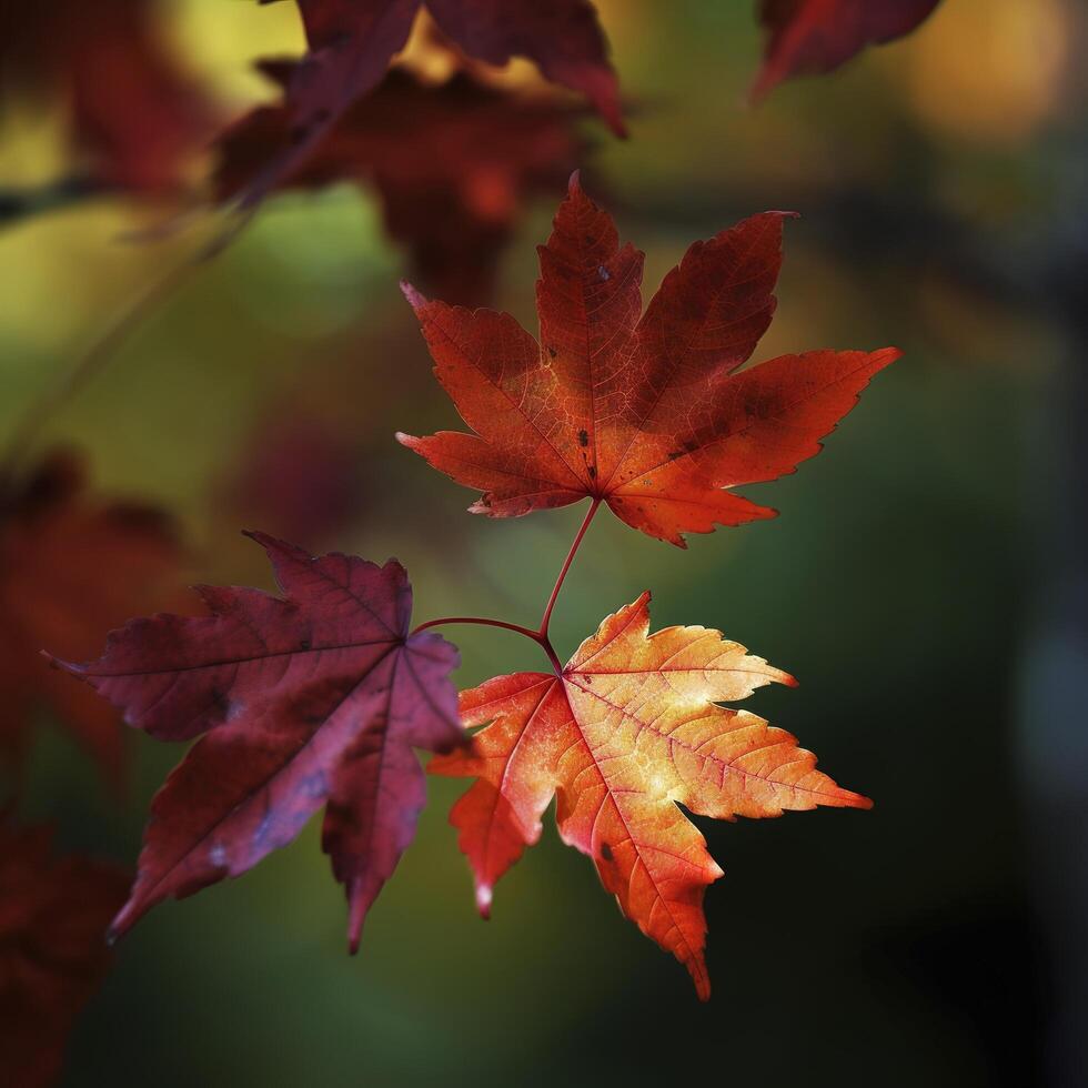 otoño arce hojas en un fila, vívido colores, ai generativo panorama ilustración en negro antecedentes foto