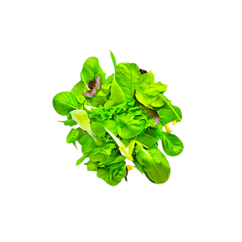 ensalada hoja. lechuga aislado en transparente antecedentes ai generativo png