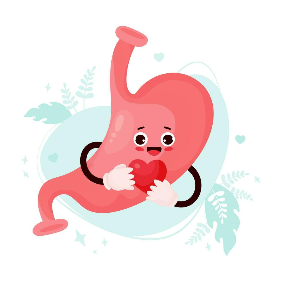 linda dibujos animados estómago personaje. gracioso sonriente humano Organo con corazón en su manos. vector ilustración. gracioso Organo de gastrointestinal tracto romántico mascota.