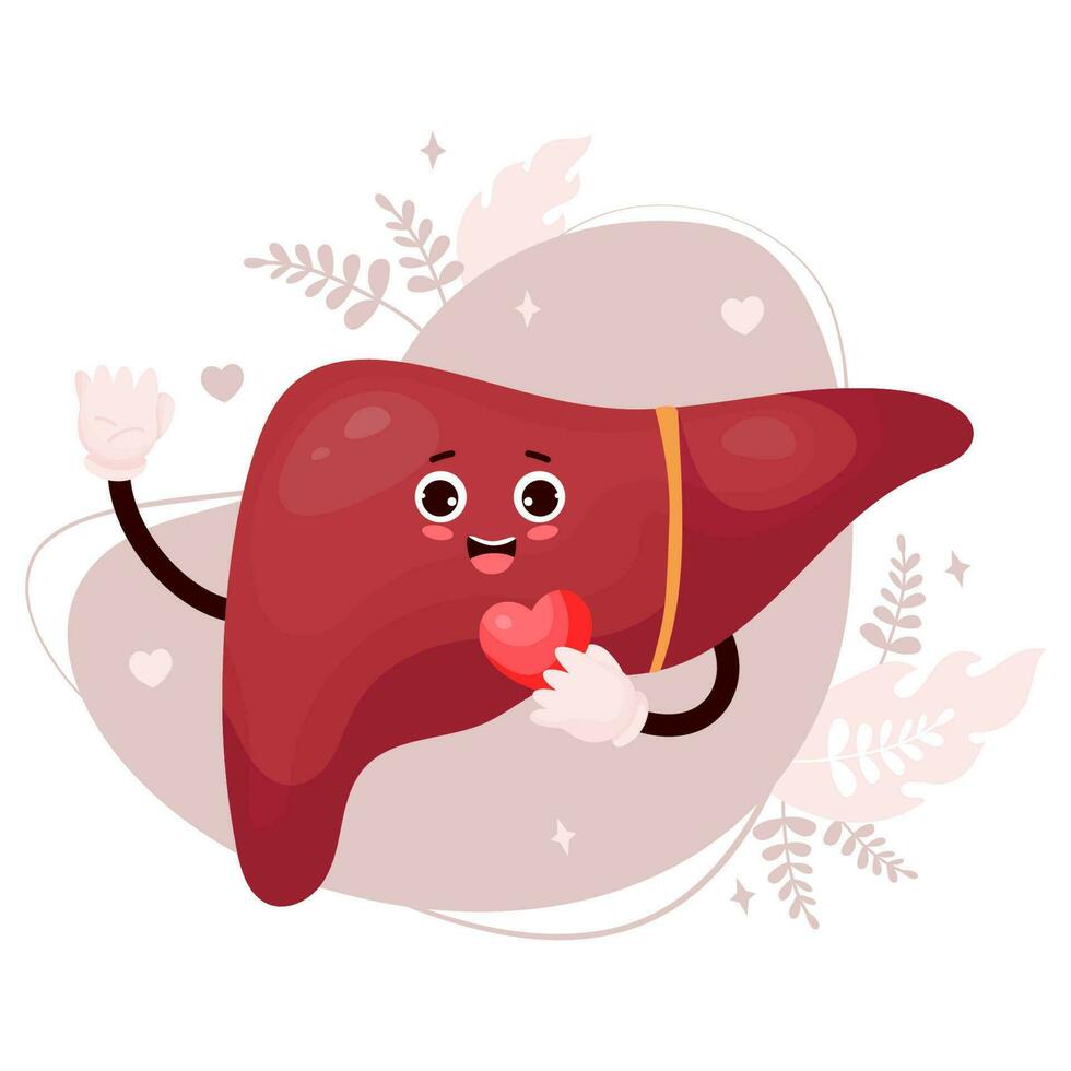 Cute cartoon liver character. Funny smiling human organ with heart in his hands. Vector illustration. Funny organ of gastrointestinal tract romantic mascot.