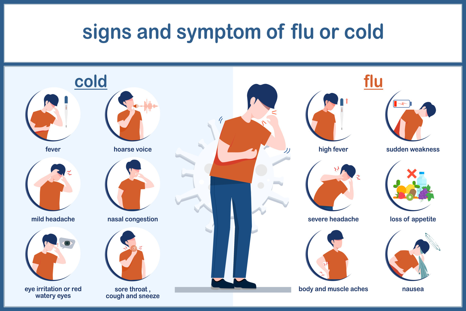 Vector illustrations of cold and flu symptoms.infographic of difference