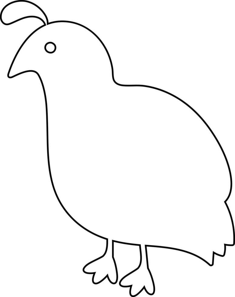 Line drawn quail for decoration. vector