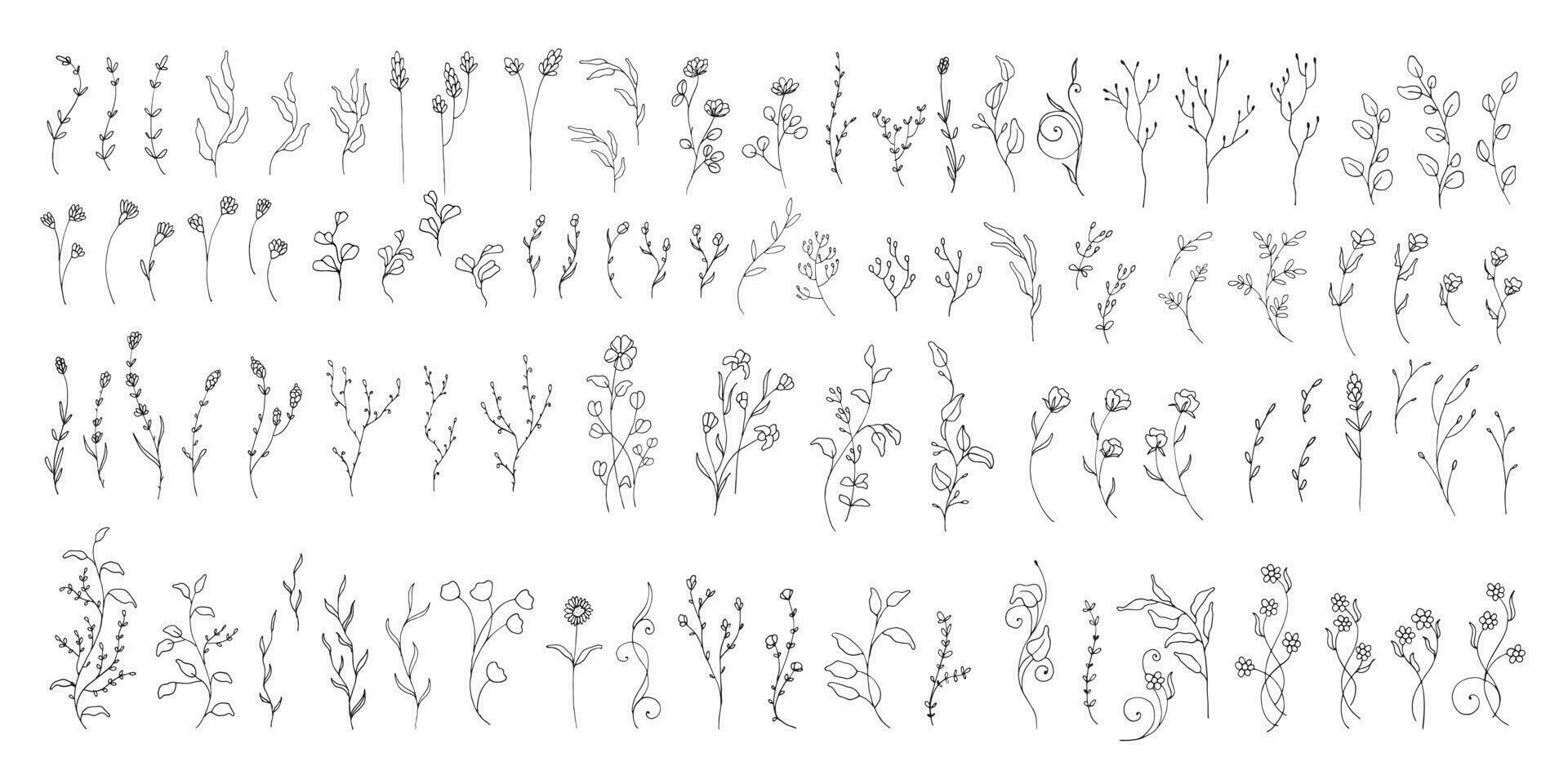 Big bundle of floral hand drawn element. Minimal flower ornament vector