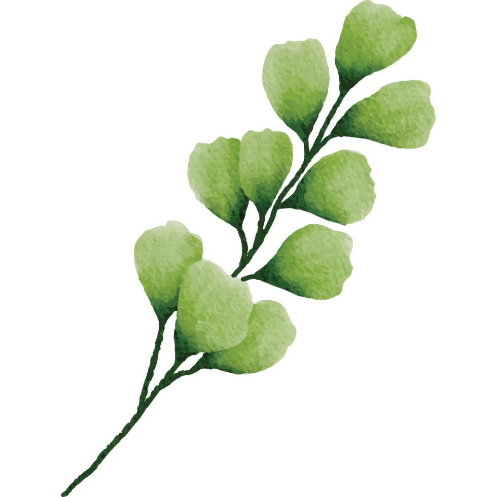Tropical leaves Clip art Element Transparent Background png
