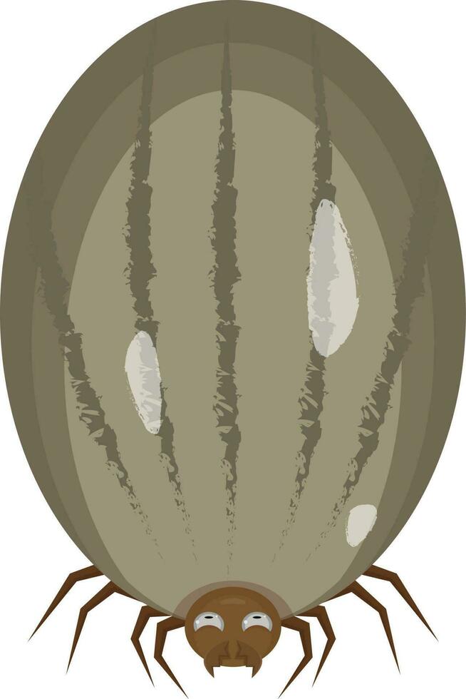 vector illustration of a tick on white background