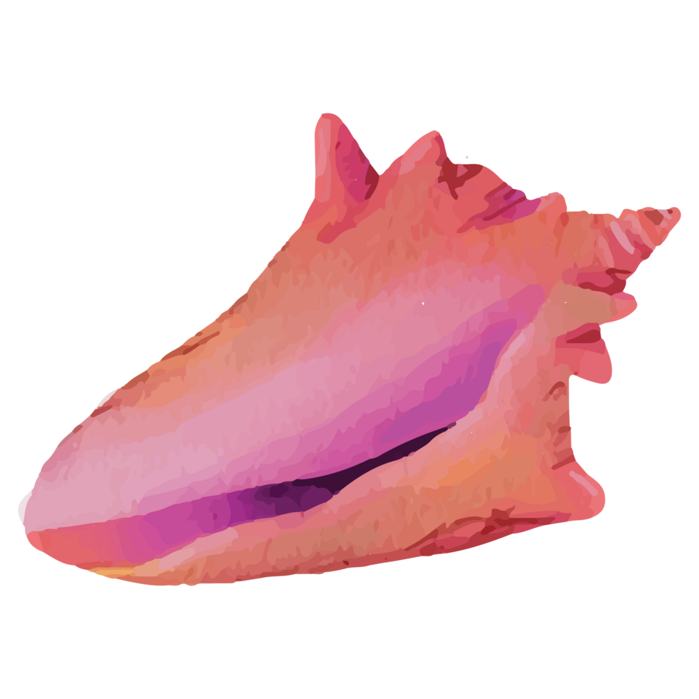 Shell Underwater Clip art Element Transparent Background png