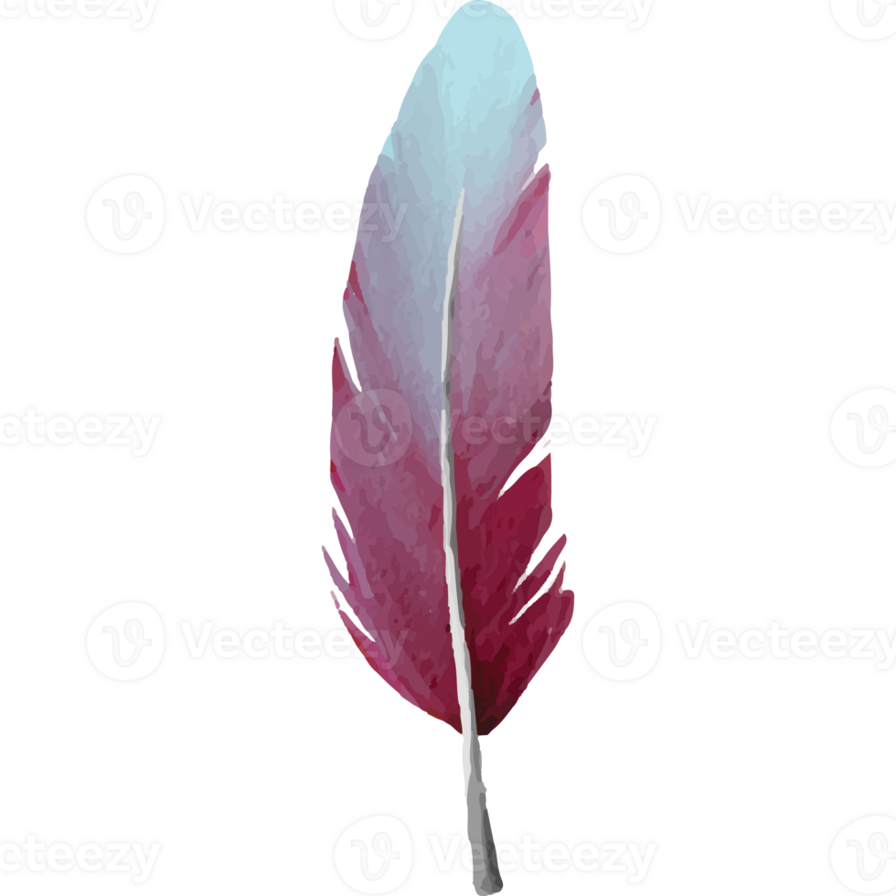Feather Clip art Element Transparent Background png