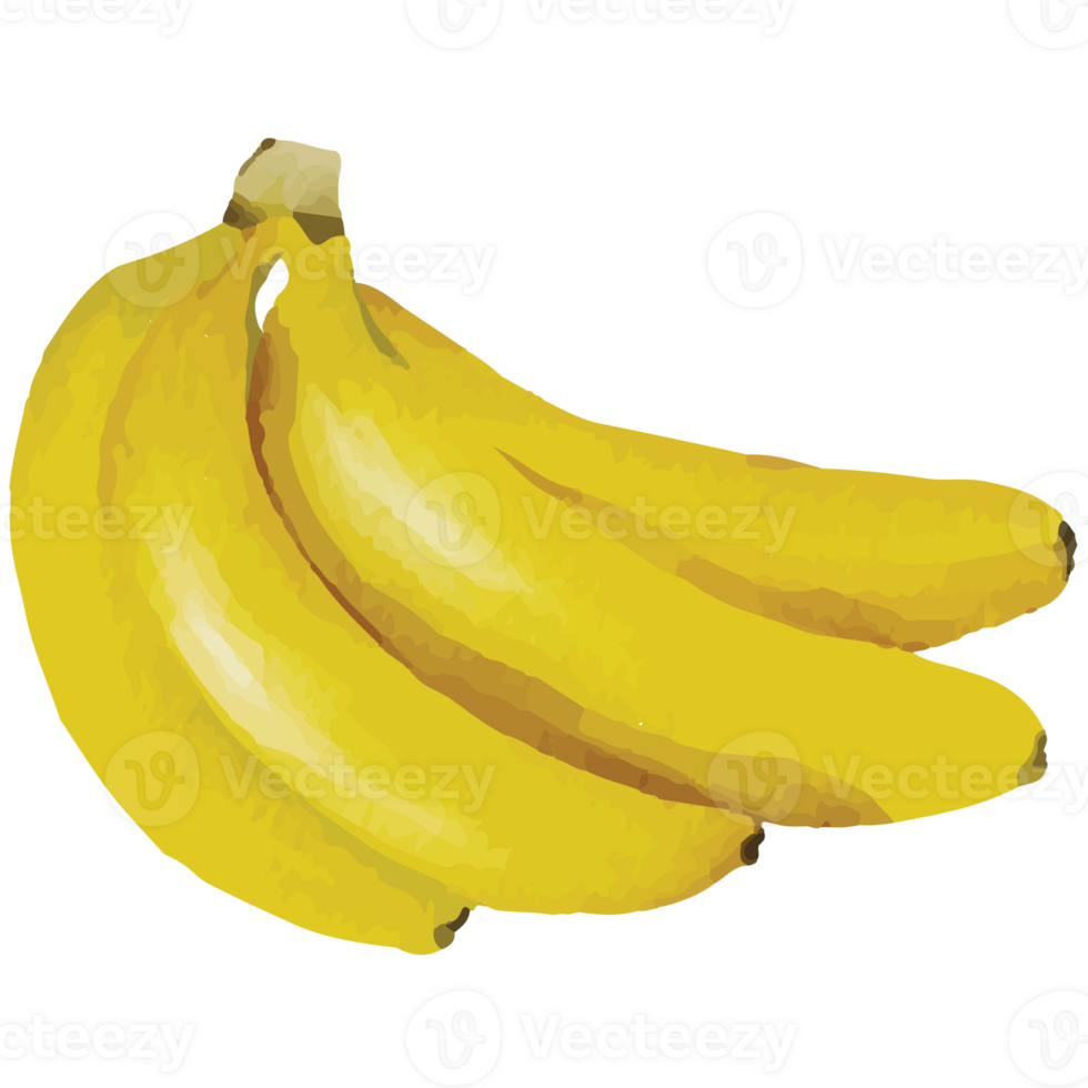 plátano amarillo frutas acortar Arte elemento transparente antecedentes png