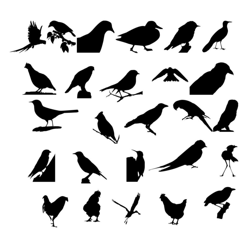 Collection of silhouettes of birds. Birds silhouettes vector on isolated background. Free vector illustration.