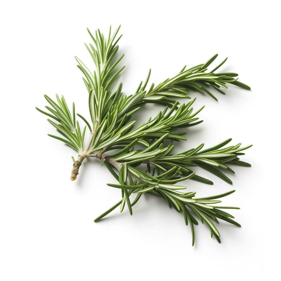 Fresh green organic rosemary leaves and pepper isolated on white background. natural transparent shadow, Ingredient, spice for cooking. collection for design, generate ai photo