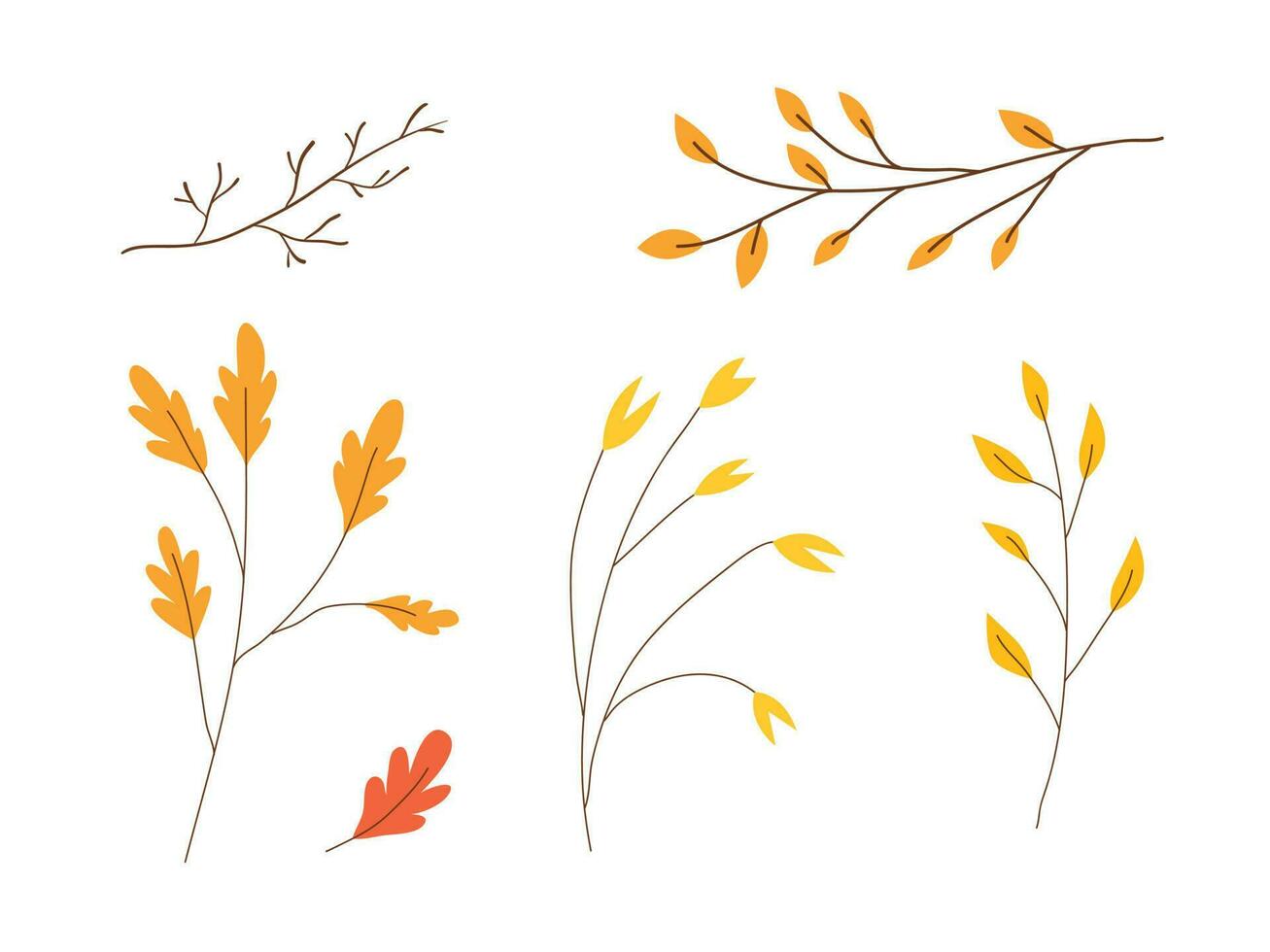 Autumn leaves collection. Autumn season botanical graphic elements vector