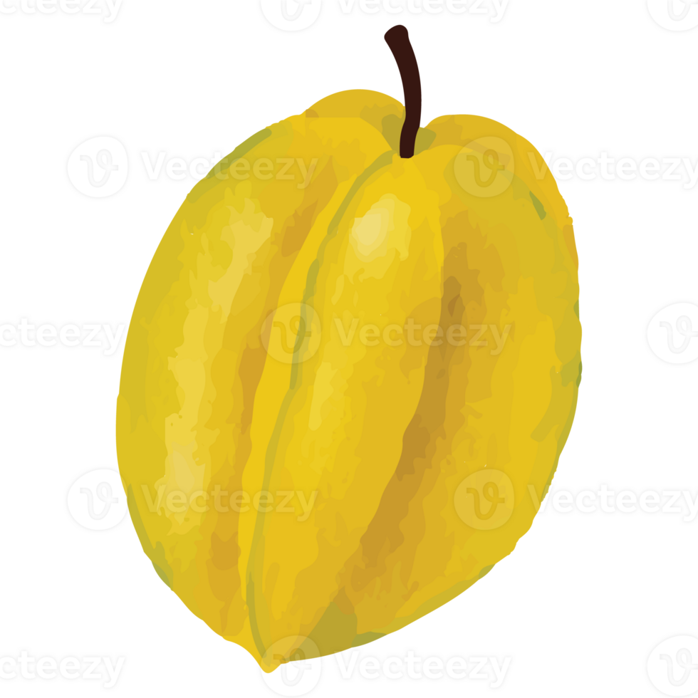 Star Fruit Yellow Fruits Clip art Element Transparent Background png