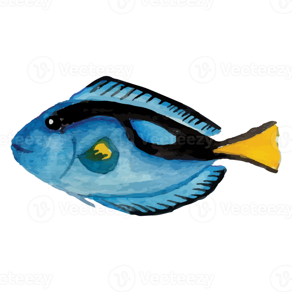 Sea Fish Transparent Background 24399345 PNG
