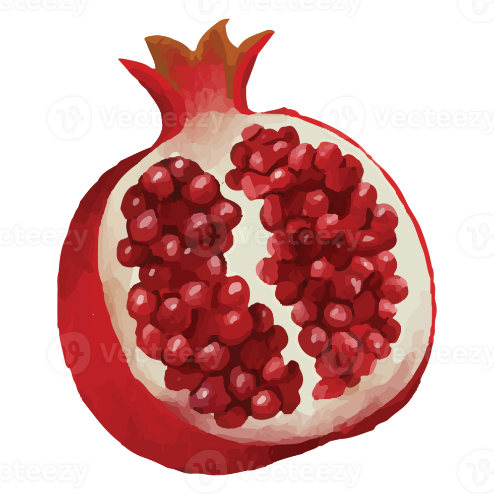 Pomegranate Red Fruit Clip art Element Transparent Background png