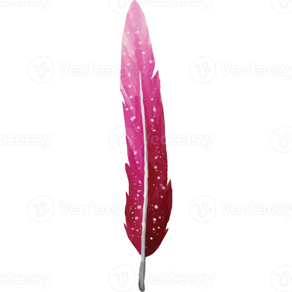 Feather Clip art Element Transparent Background png