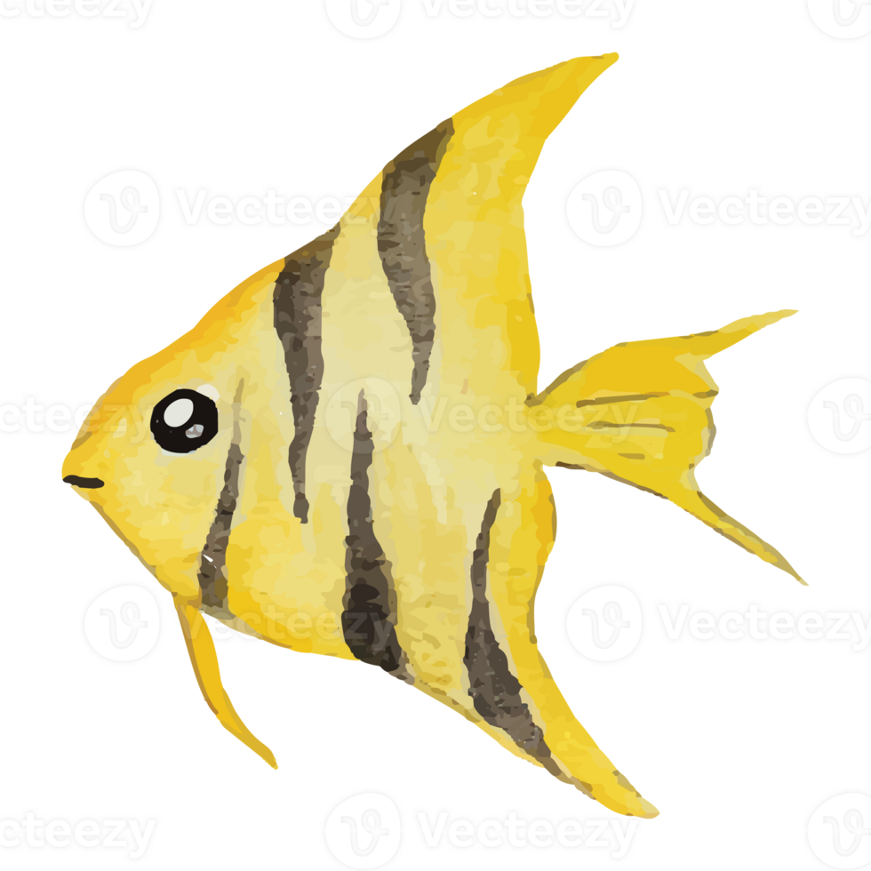 Sea Fish Transparent Background png