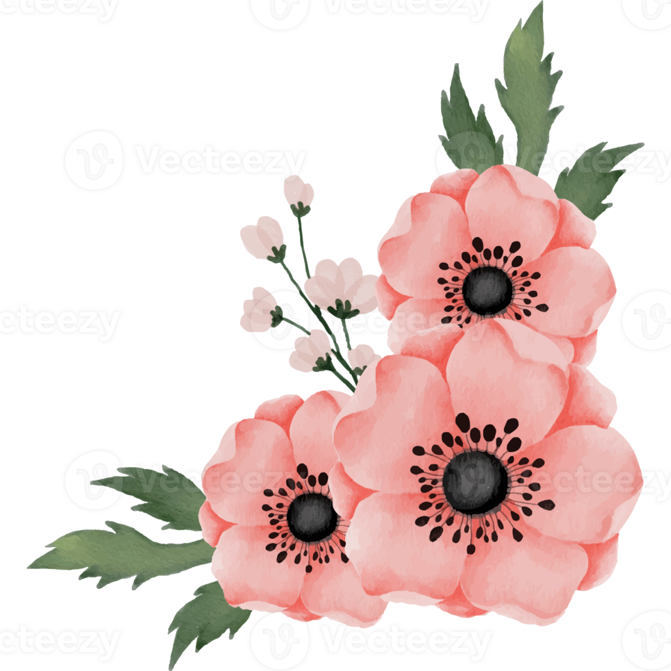 Rose With Peony Flower Bouquet Clip art Element Transparent Background png