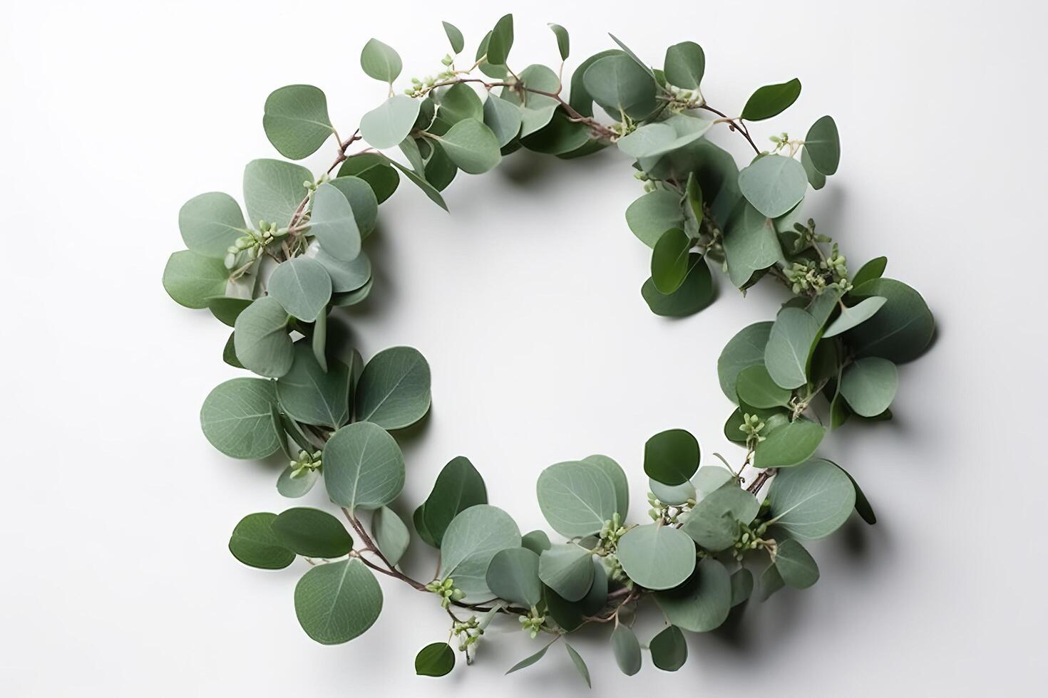 Wreath made of eucalyptus branches. Green floral frame made of eucalyptus leaves. Decorative wreath isolated on white. Minimal natural composition, botanical design, flat lay, top view. photo