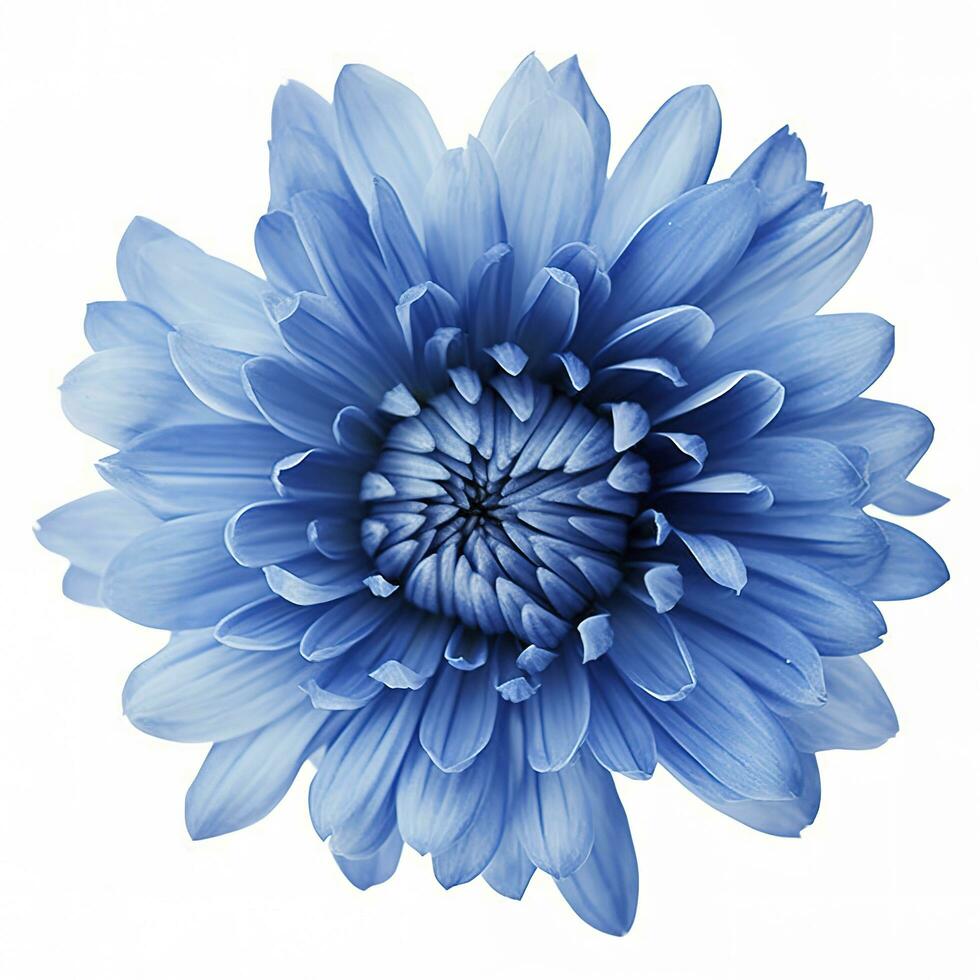 azul flor aislado en blanco fondo, png con transparencia , generar ai foto