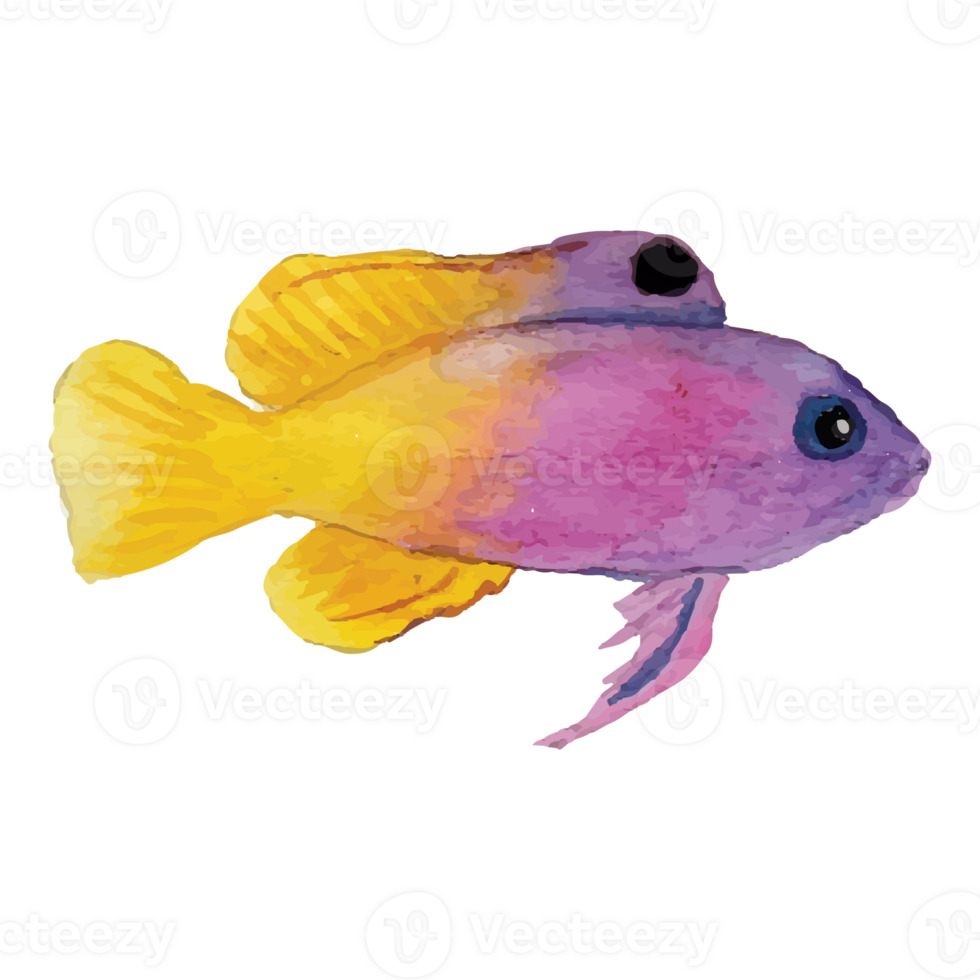 Sea Fish Transparent Background png