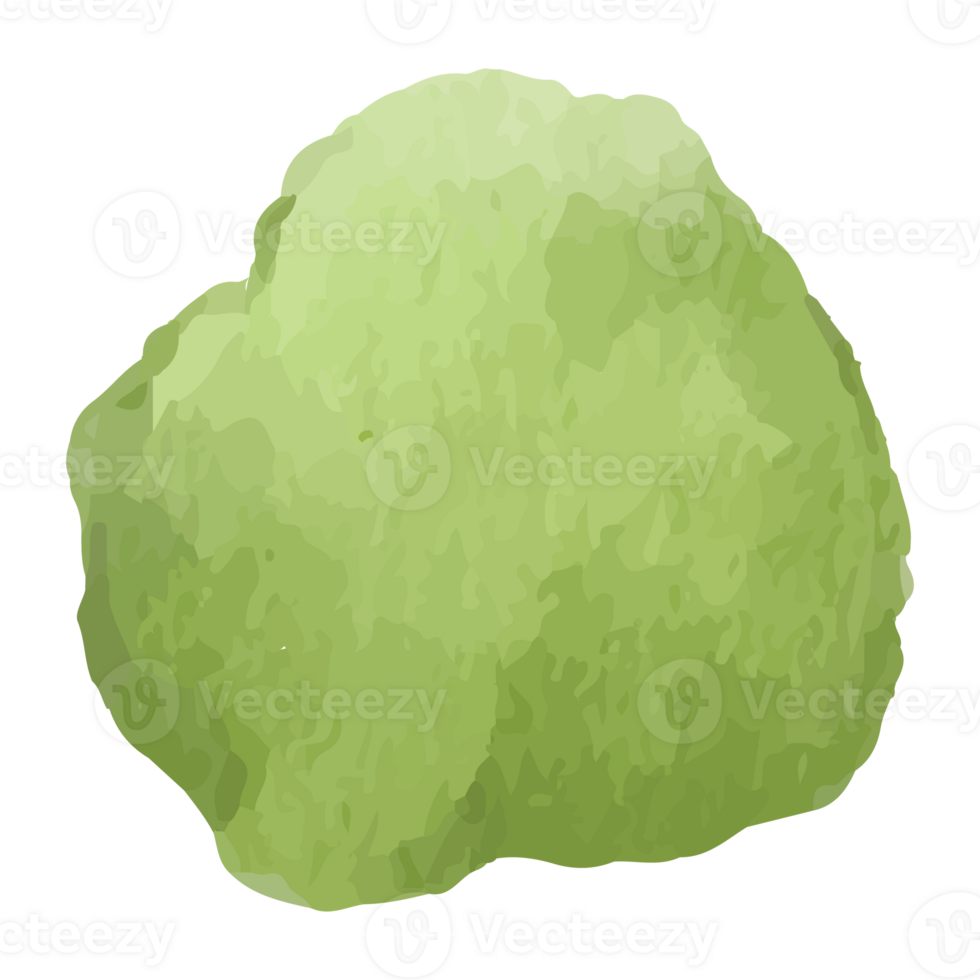 Sushi Japanese Food Clip art Element Transparent Background png