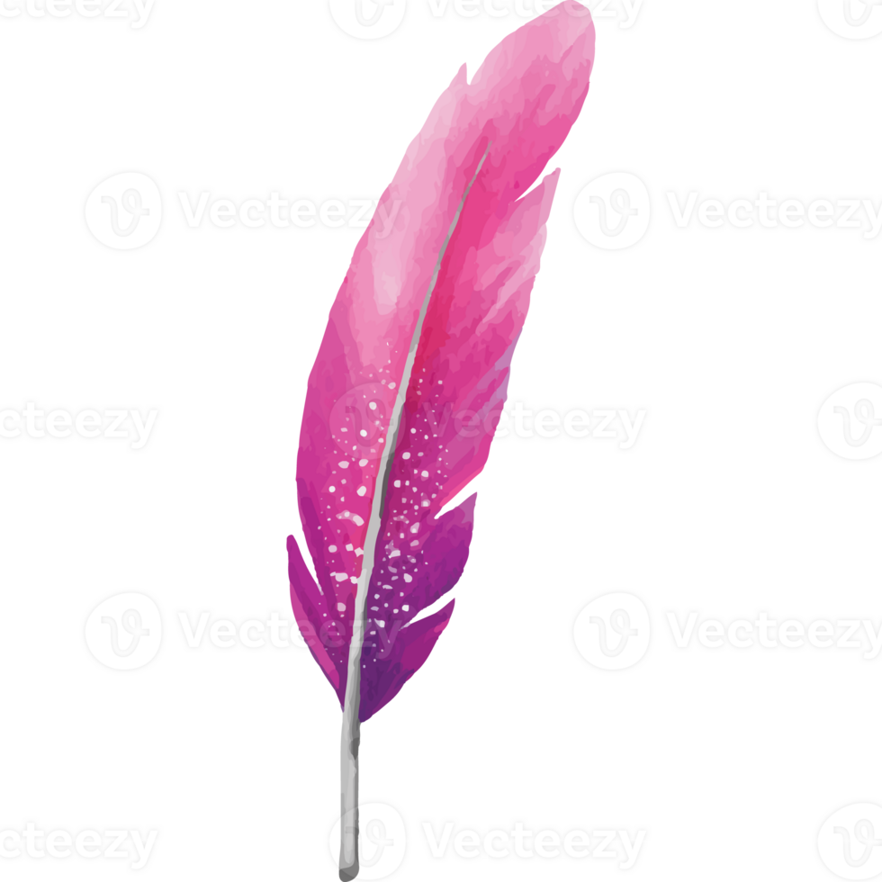 Feather Clip art Element Transparent Background png