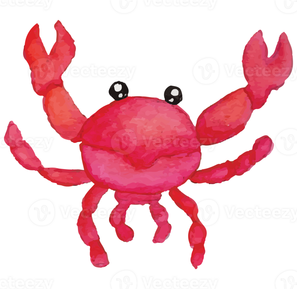 Crab Under The Sea Clip art Element Transparent Background png