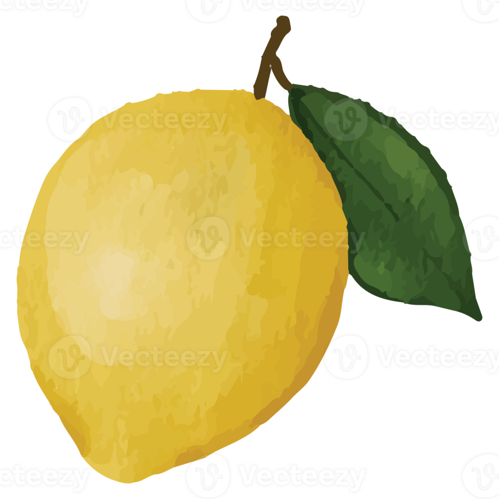 Lemon Yellow Fruits Clip art Element Transparent Background 24400317 PNG