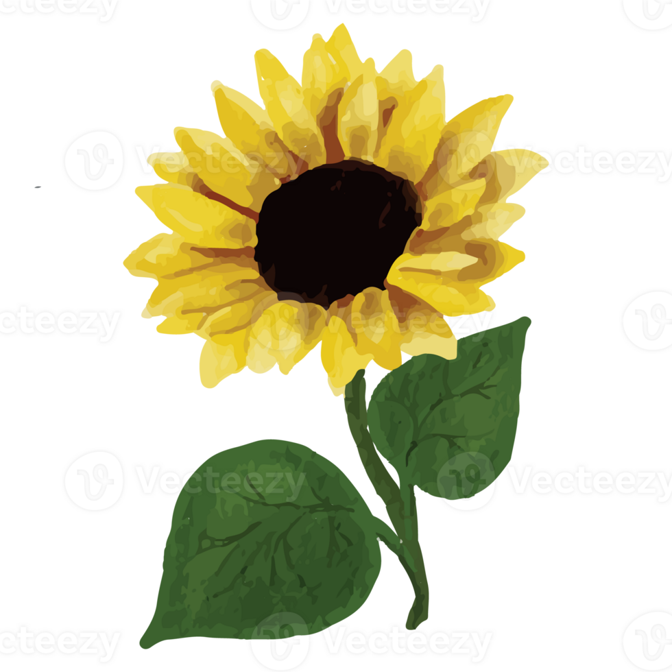 Sunflower Clip art Element Transparent Background png