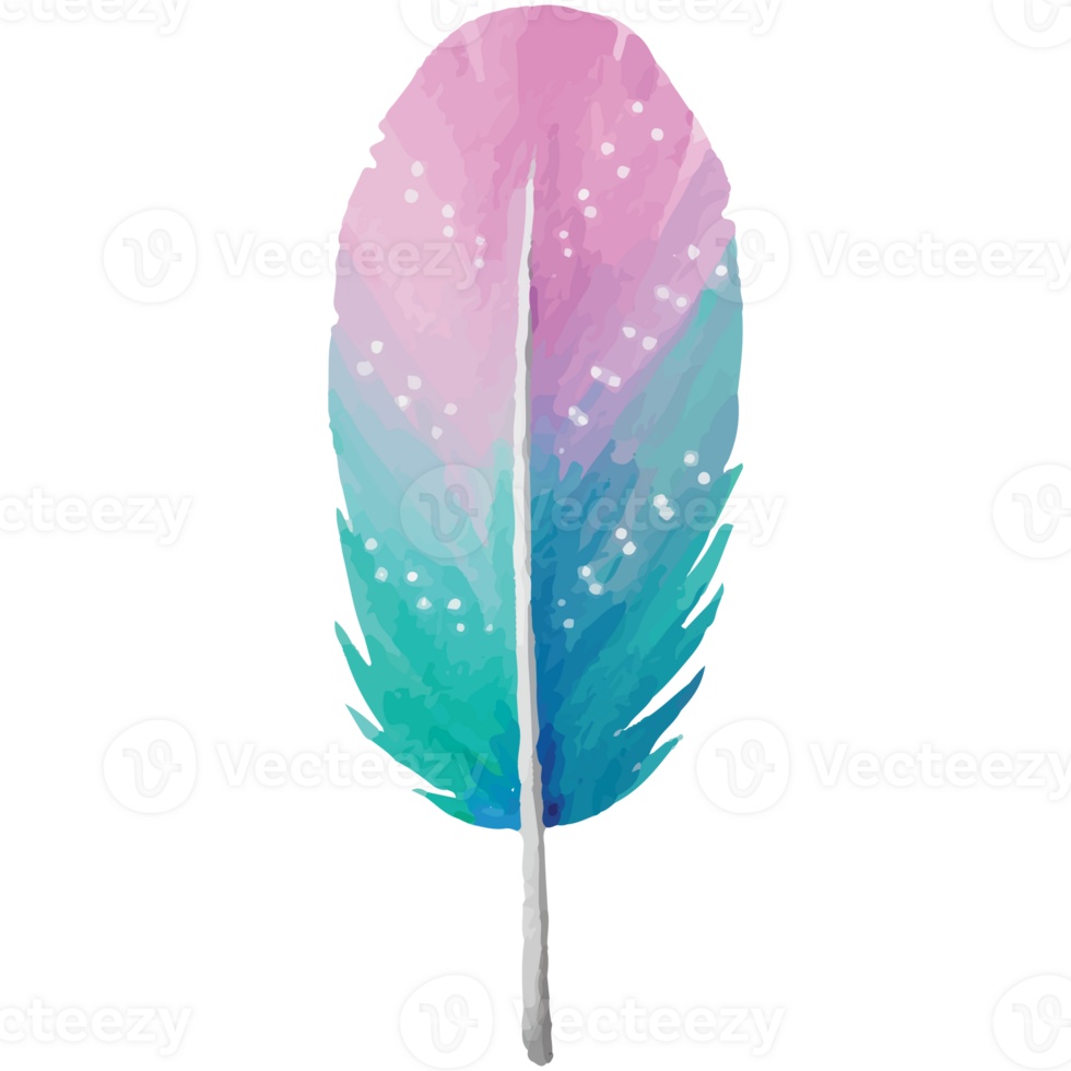 Feather Clip art Element Transparent Background png