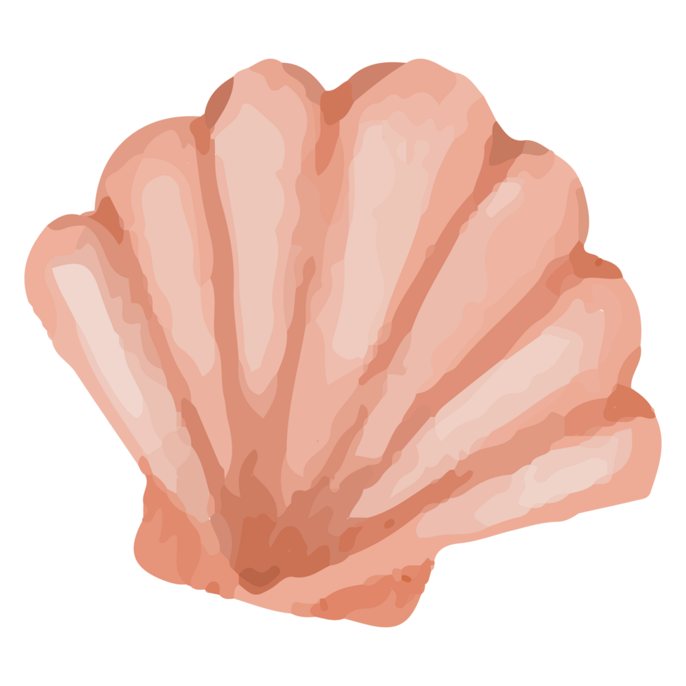 coquille en dessous de le mer agrafe art élément transparent Contexte png