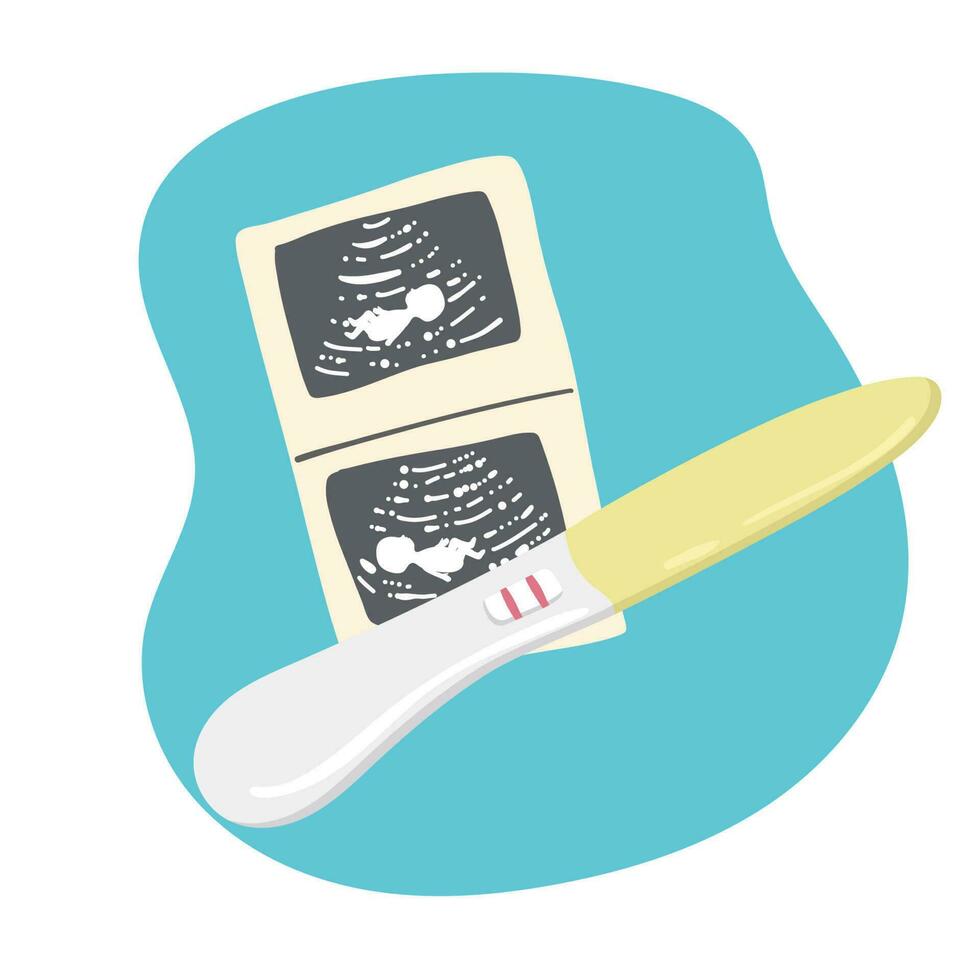 A positive pregnancy test result, a photo of a baby on an ultrasound scan, a large belly of a pregnant woman. Cartoon. Vector