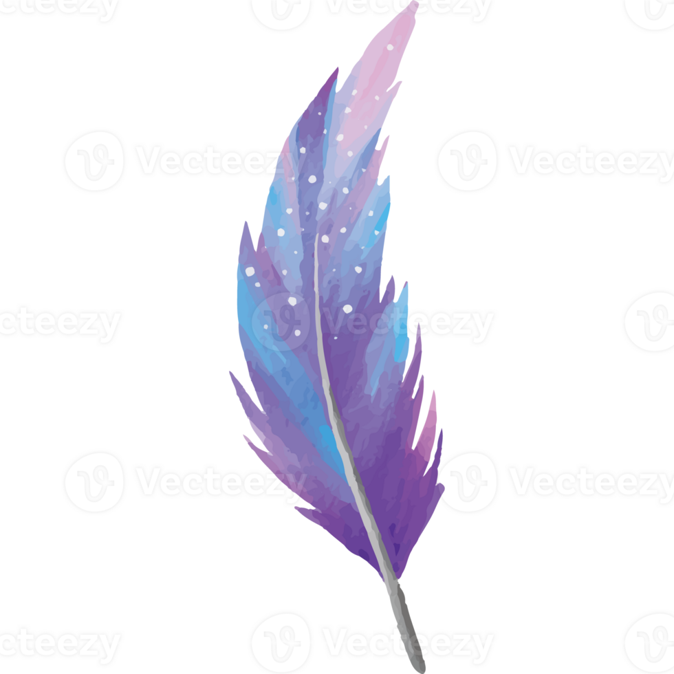 Feather Clip art Element Transparent Background png