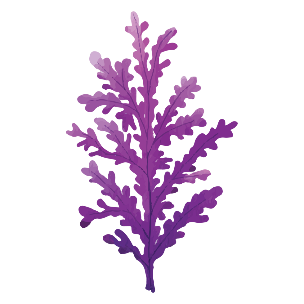Marine Plants Under The Sea Clip art Element Transparent Background png