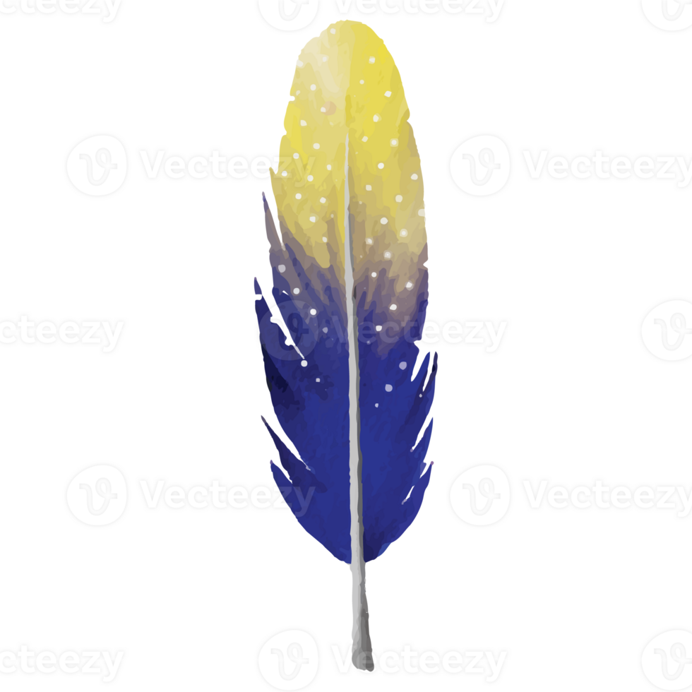 Feather Clip art Element Transparent Background png