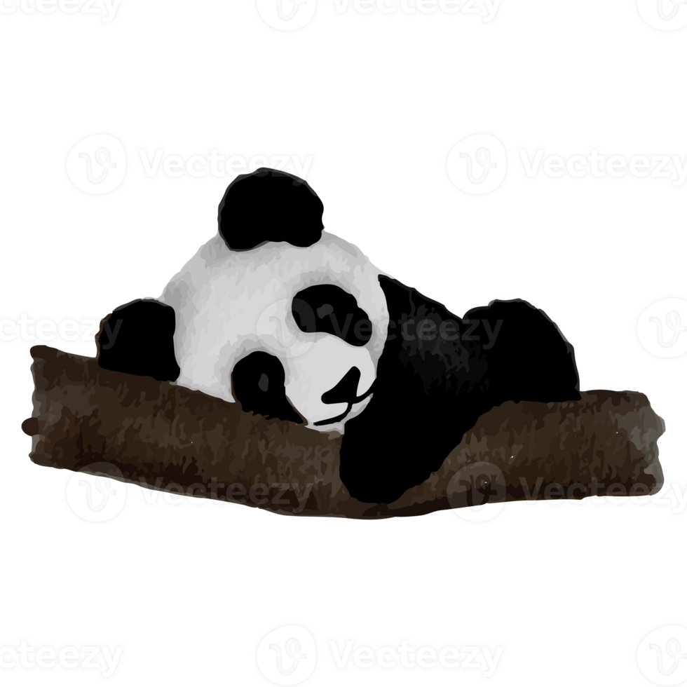 Panda In Different Poses Clip art Element Transparent Background png