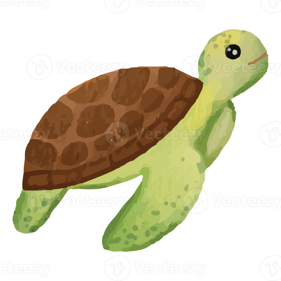 schildpad onder de zee klem kunst element transparant achtergrond png