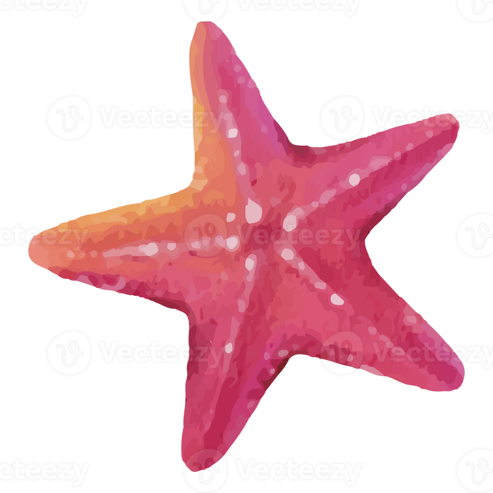 Starfish Underwater Clip art Element Transparent Background png